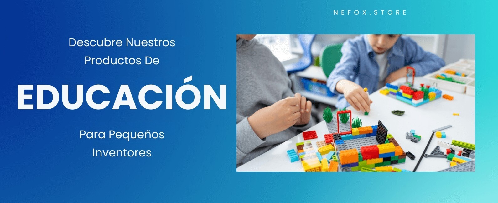 Banner Educación